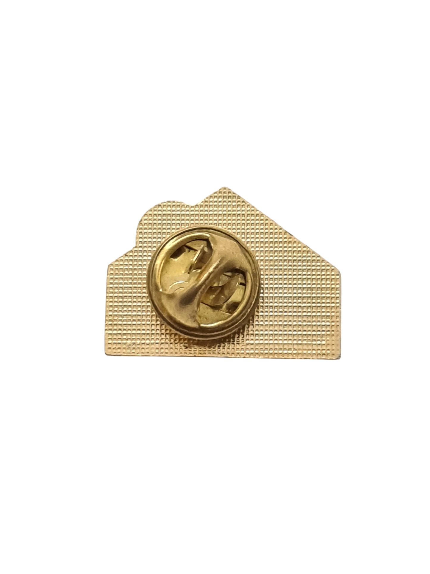 Pins collège Chantaco Saint Jean de Luz vintage