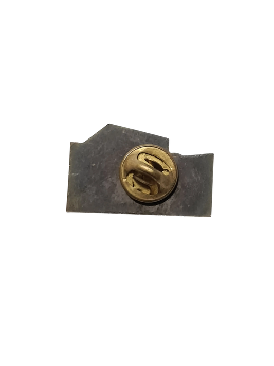 Pins collège Volgelsheim vintage scolaire 90s